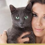 actress Eva Lognoria and Russian Blue cat