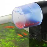 Automatic feeder keeps the aquarium clean