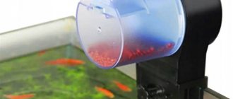 Automatic feeder keeps the aquarium clean