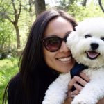 Bichon Frize photo with a person