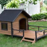 dog house