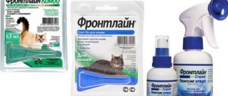 Frontline for cats and cats