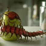 Giant scolopendra