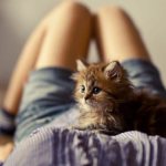 Why does a woman dream of small kittens, read the article