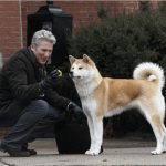 Still from the film about Hachiko