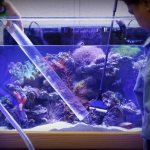 How often to change the water in the aquarium