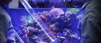 How often to change the water in the aquarium