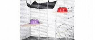 How to make accessories and toys for chinchillas with your own hands