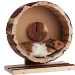 How to make a hamster wheel at home