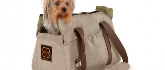 Как сделать сумку-переноску для собаки: 5 пошаговых мастер классов с выкройками