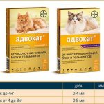 Капли Адвокат для кошек