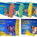 Practic anti-tick drops for dogs