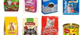 Cat food classes rating