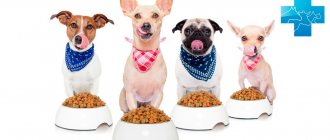 Dog food classes