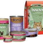 cat food Innova EVO