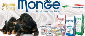 Monge dog food