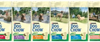 Dog Chow food for dogs - reviews and advice from veterinarians