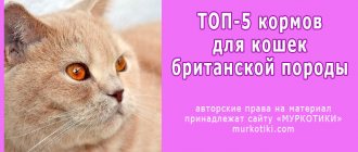 корма для британской породы кошек