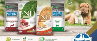 Farmina food for cats and dogs