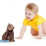 Cat and small child in the house