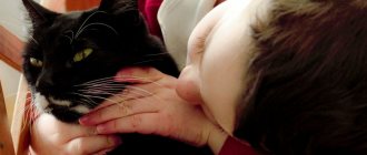 Cat choked - symptoms and first aid