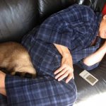 The cat curled up at its owner&#39;s feet