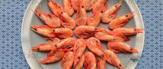 Shrimps