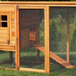 Chicken coops for laying hens