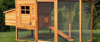 Chicken coops for laying hens