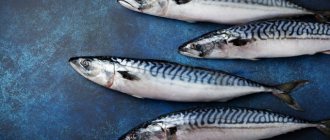 What&#39;s the difference between mackerel and mackerel?