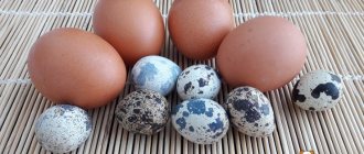 Is it possible to give a dog eggs?