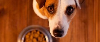 Review of food Meal for dogs