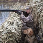 Partridge hunting with a dog