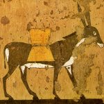 donkey in ancient times