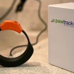 Ошейник для кошек PawTrack