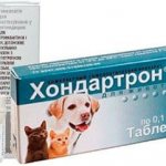 what does chondartron help with for dogs?