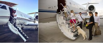 flying with a pet on a private jet