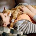 Why does a cat love its owner?