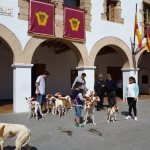 Podenco Ibicenco with owners