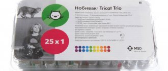 Antiviral vaccine Nobivak Triquet Trio for cats