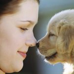 Puppy plays with his owner