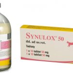 Sinulox for cats