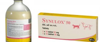 Sinulox for cats