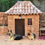 Dog for guarding a private home