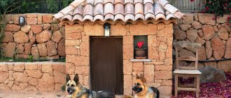 Dog for guarding a private home