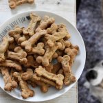 Dog and cookies