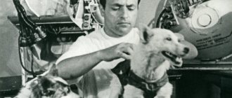 A. Gyurjian, an employee of the Air Force Institute of Aviation Medicine, adjusts space equipment for Belka and Strelka. From the funds of the Museum of Cosmonautics 