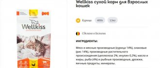 Сухой корм для кошек Wellkiss