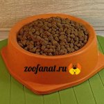 Holistic dry food