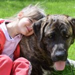 Top kindest dog breeds in the world